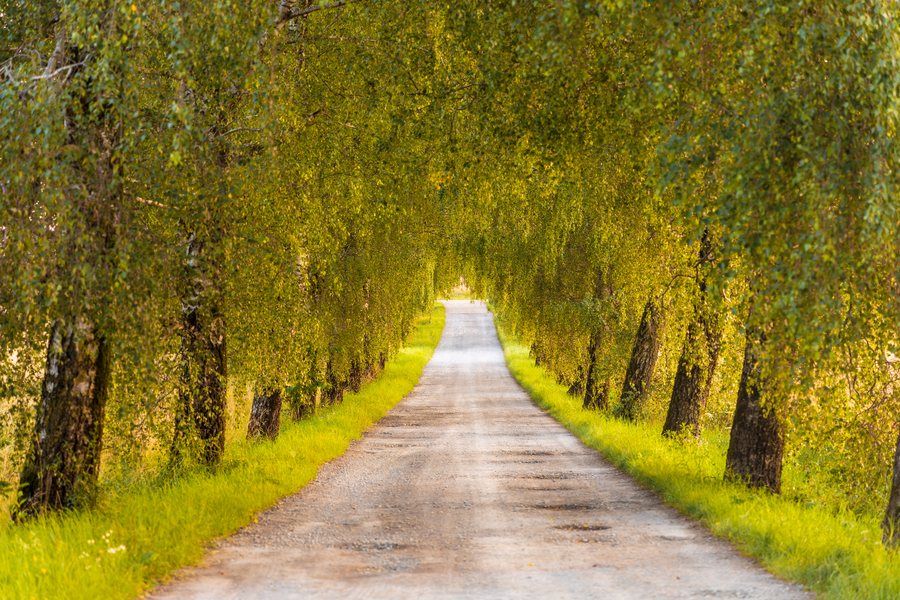 File:Allee-Kupferhof-Gerabronn-msu-2021-0901-.jpg