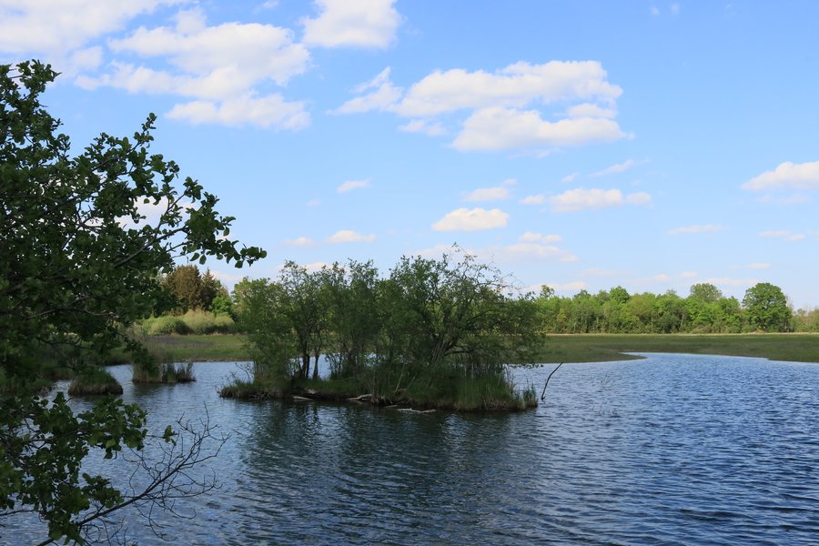 Westerried north of Wertingen (FFH protected area)