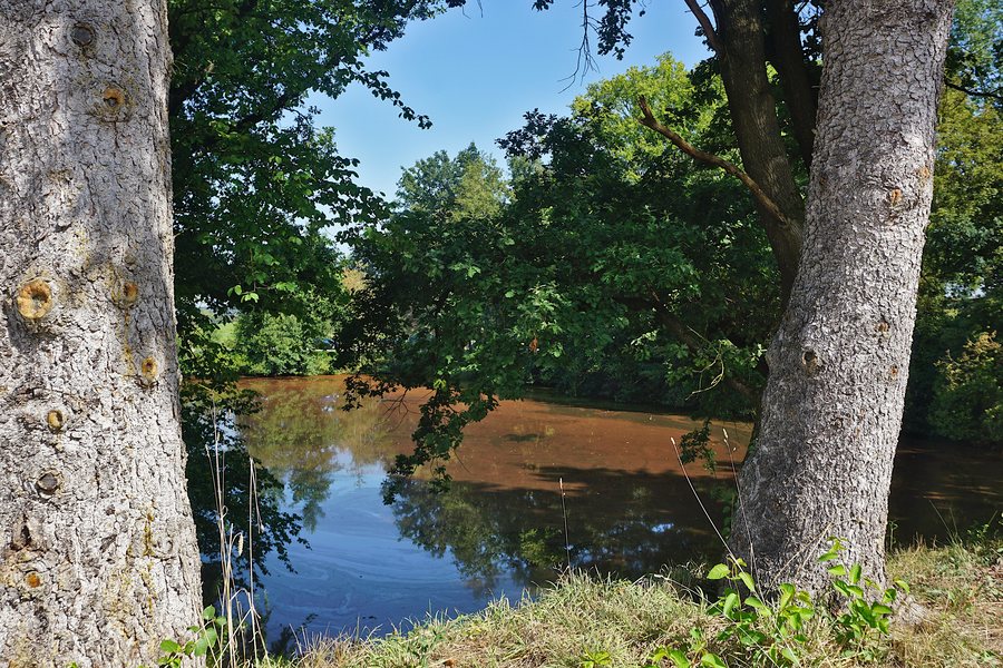 File:ND-02489 LK Landshut Eichenbestand mit Weiher (Geisenhausen).jpg