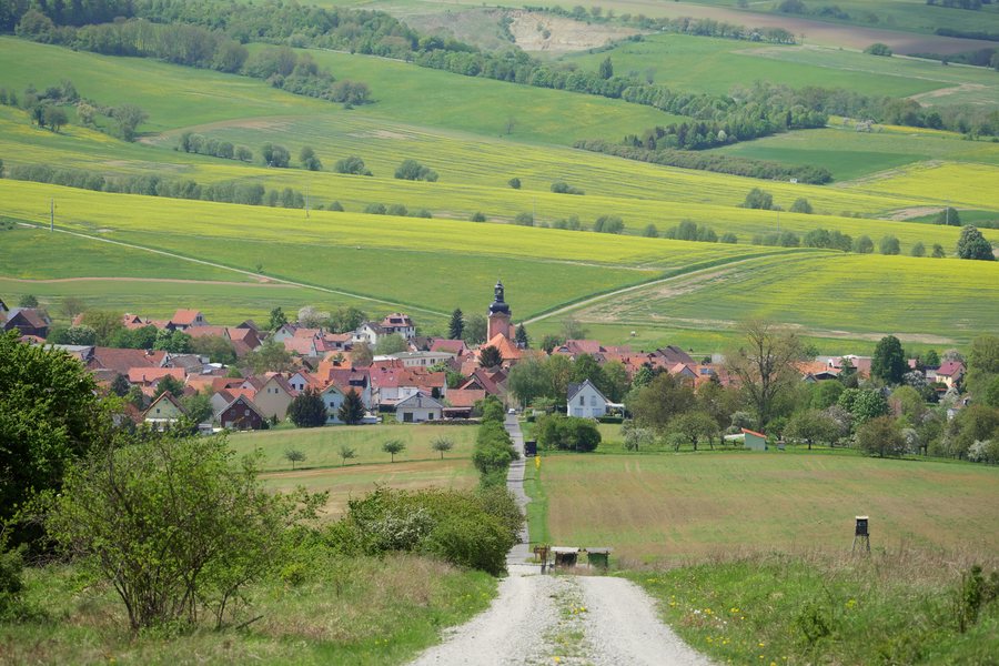Berka vor dem Hainich vom Nationalpark Hainich aus gesehen