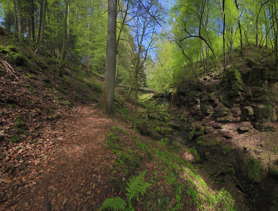 Landschaftsschutzgebiet Nagoldtal (8 Teilgebiete), Kennung 2.35.037, Lützengraben, Wildberg 03
