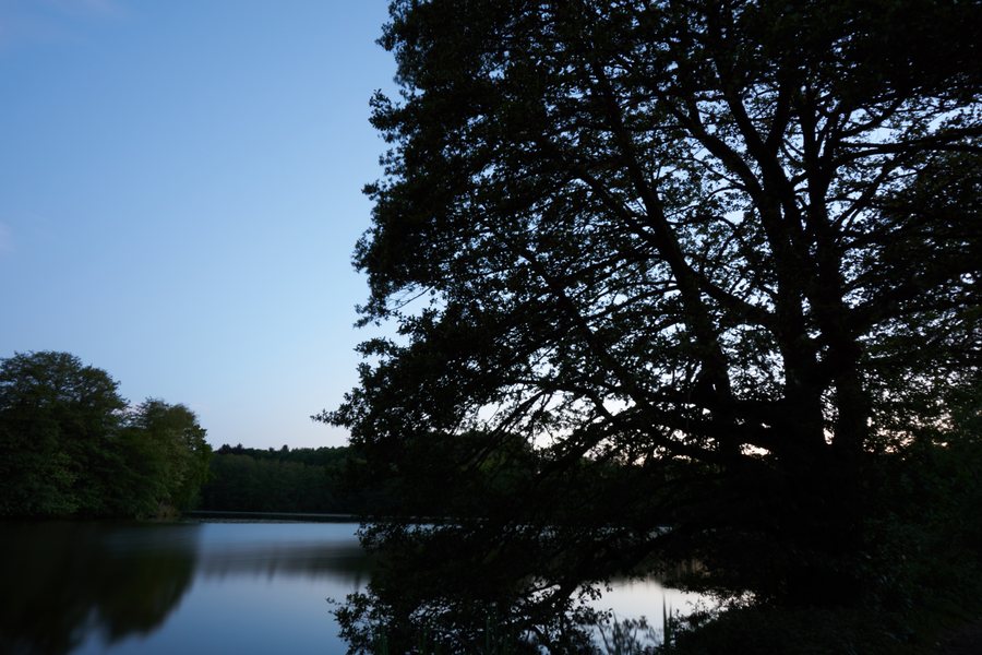 File:Naturschutzgebiet Weiherlandschaft bei Wiesenfelden, Blick vom Steg Ortsmitte in Richtung Westen 3.jpg