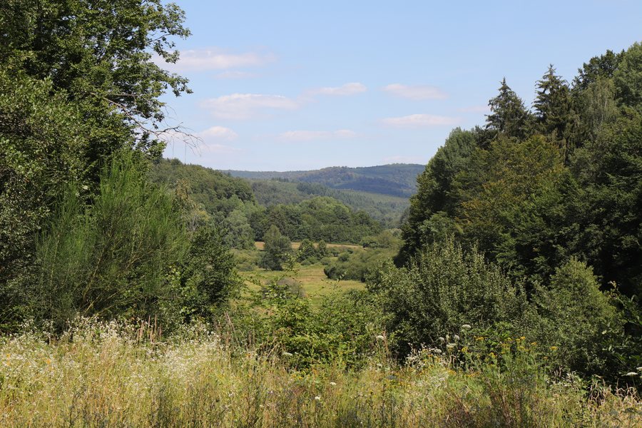 File:Hafenlohrtal, view from west.jpg