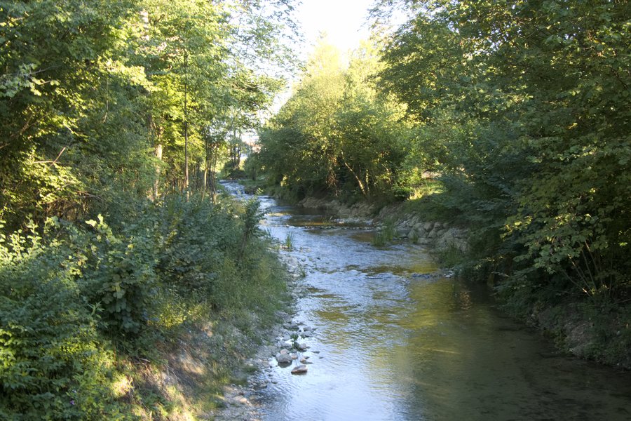 File:Kirchanschöring - Ort - Götzinger Achen - 2022 09 02-1.jpg