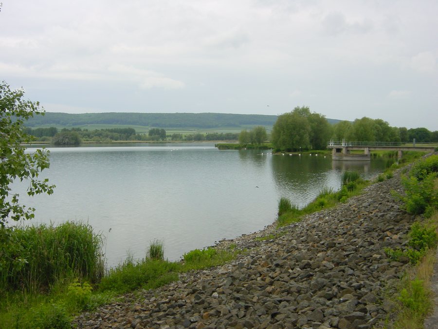 File:Dachwig-Stausee Damm.jpg