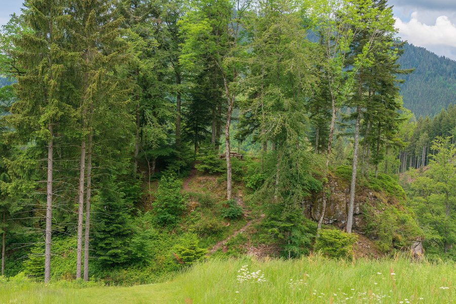 File:Bad Rippoldsau-Schapbach Burgbachfelsen.jpg