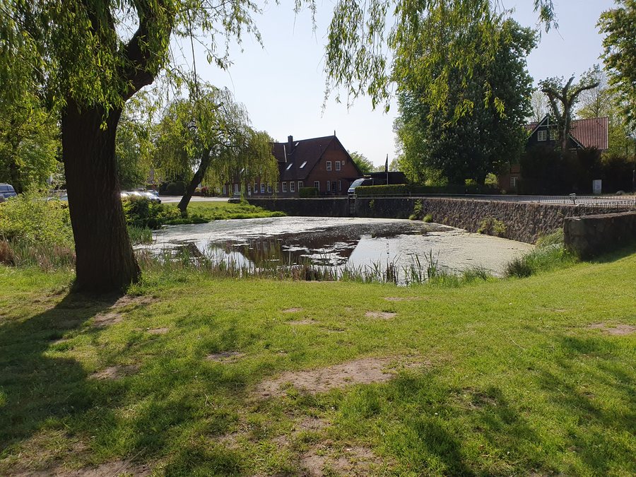 Village pond in Hoisdorf, Stormarn district