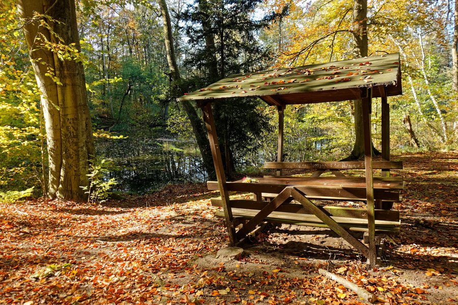 File:Naturpark Schlaubetal, Am Forsthaus Siehdichum.jpg