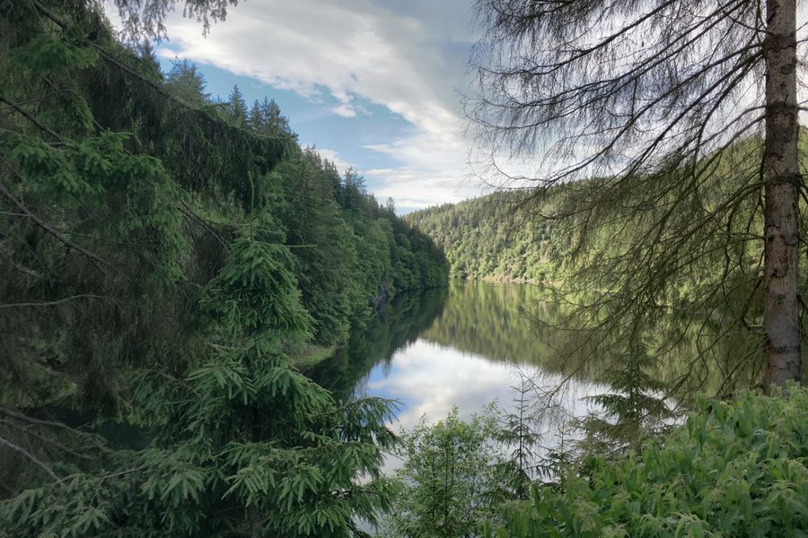 File:Saale im Thüringer Schiefergebirge.jpg