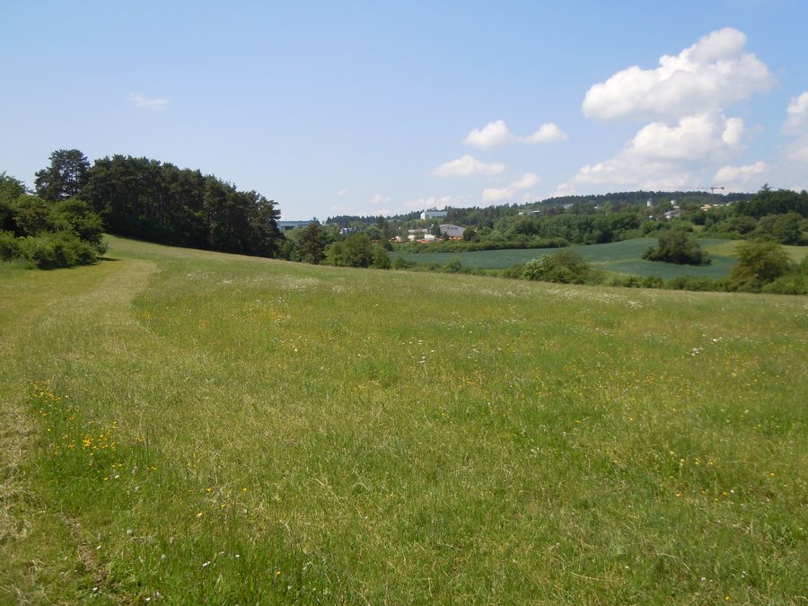 File:NSG Haiterbacher Heckengaeu.JPG