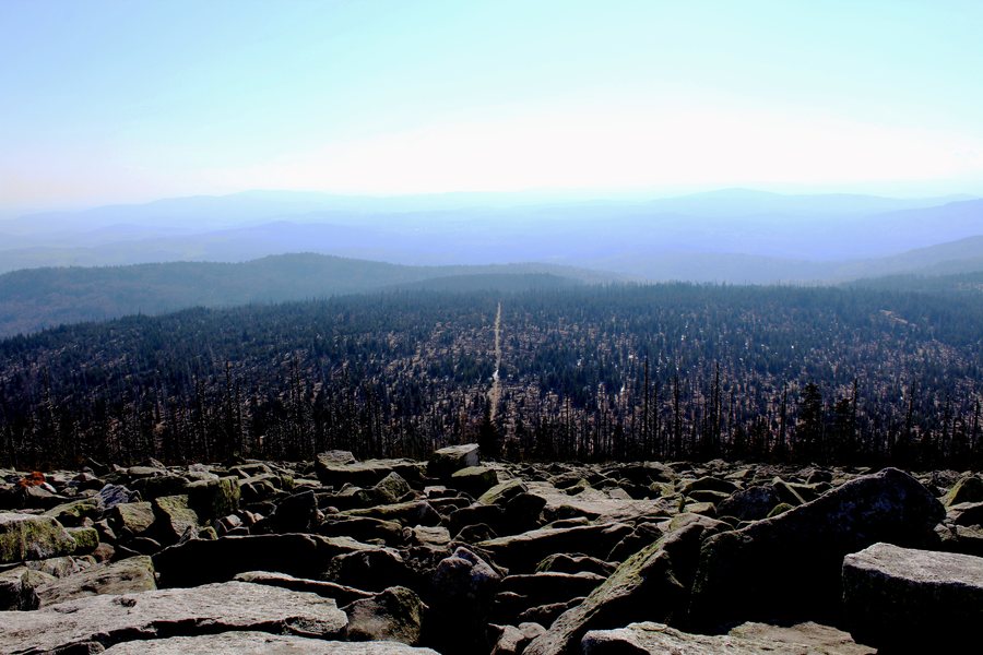 View from the summit of Lusen in the Bavarian Forest National Park