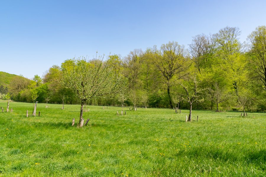 File:Bad Lippspringe - 2019-04-23 - PB-024 Egge Nord (01).jpg