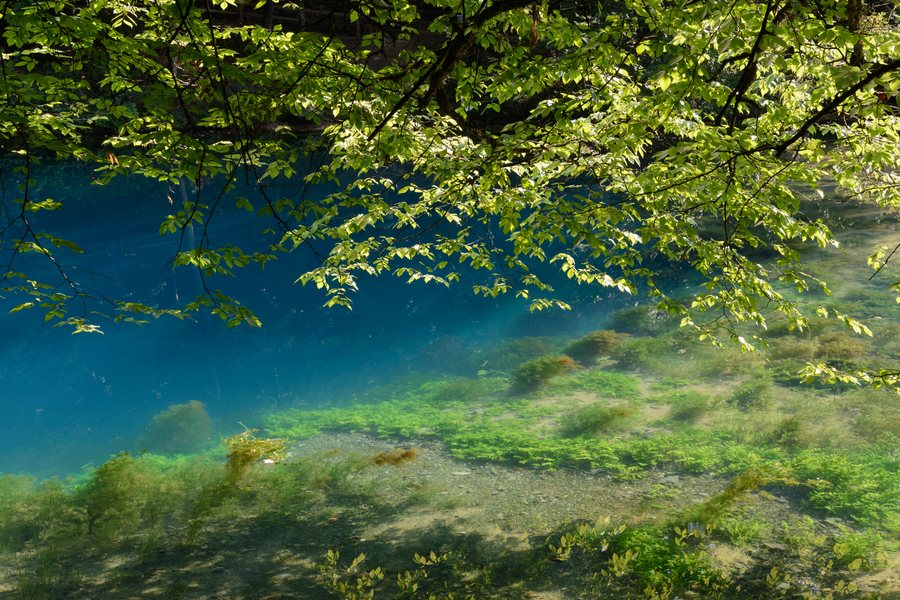 File:Blaubeuren Blautopf 20180804 02.jpg