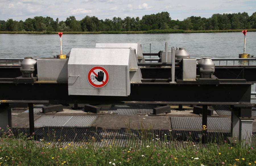 Polder Söllingen/Greffern (Rheinmünster)
