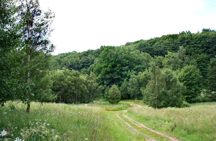 Landscape by Pyšná, part of Vysoká Pec village, Czech Republic