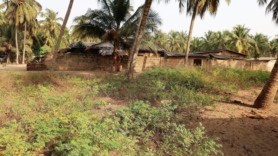Häuser und Palmen in Avloh bei Grand-Popo, Benin
