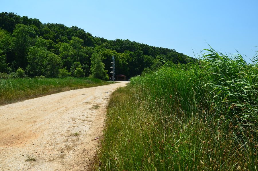Vista nel Parco nazionale delle foreste alluvionali di İğneada a İğneada, provincia di Kırklareli
