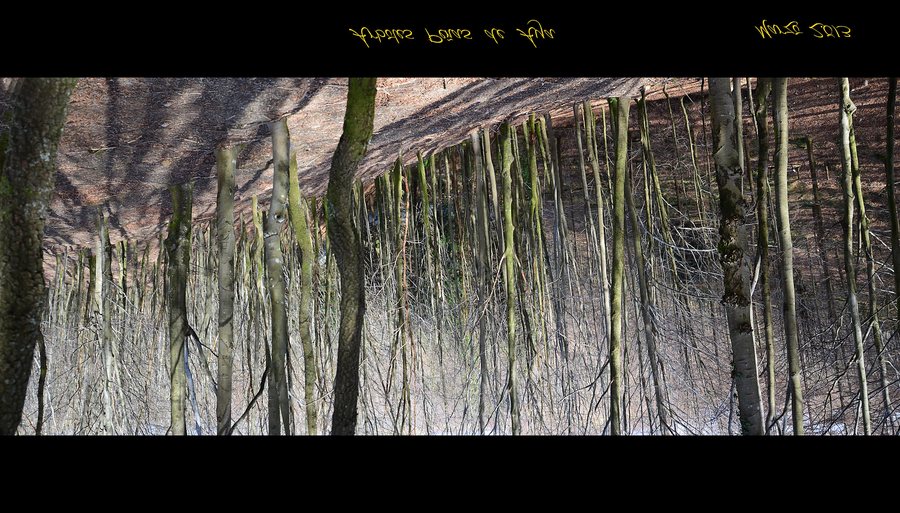 File:Oiartzun, Gipuzkoa, Spain - panoramio.jpg
