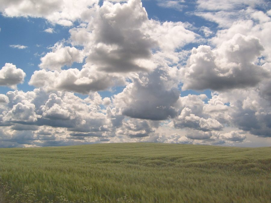 Offene Landschaft mit Himmel und Feldern in der Uckermark