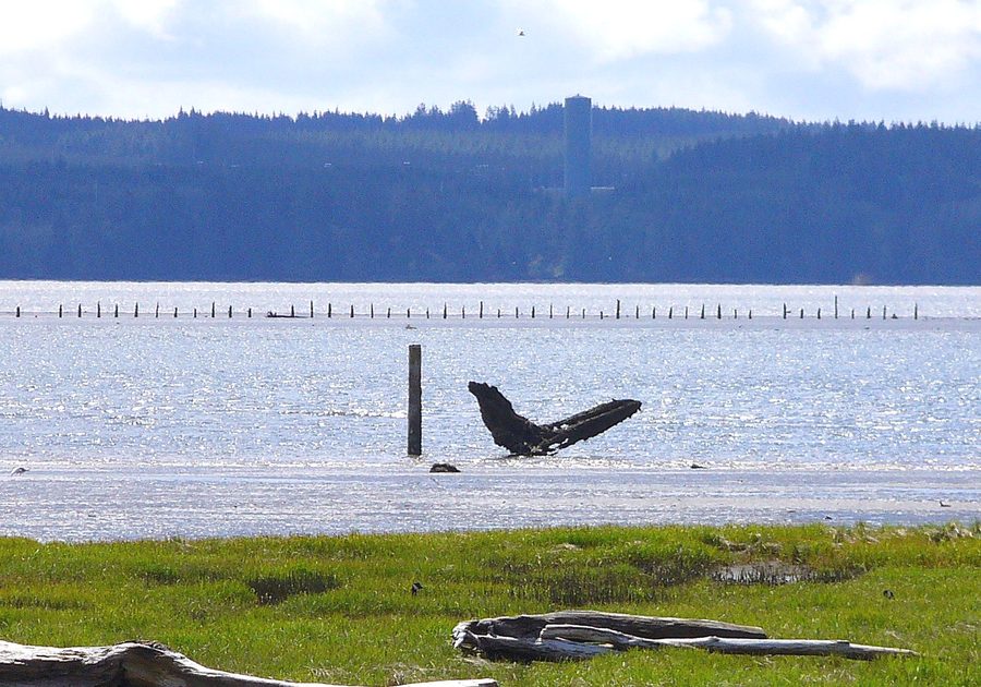 Grays Harbor visto da Hoquiam, Washington
