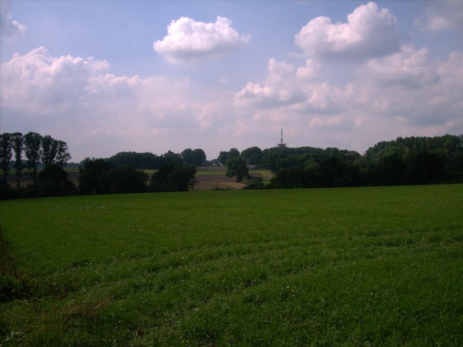 Landschaft der Osterholzer Geest bei Wallhöfen in der Gemeinde Vollersode