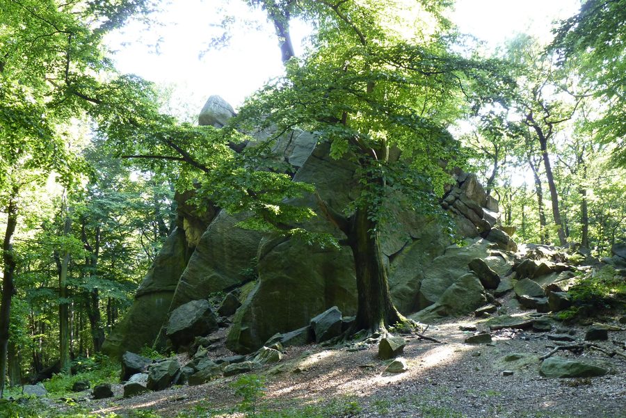 Salesiova výšina bei Osek im Erzgebirge