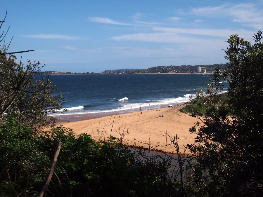 Narrabeen Lagoon con acqua e riva