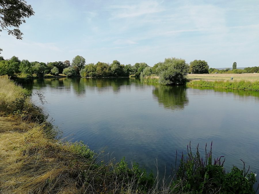 File:Longvic - Etang Royal 2.jpg