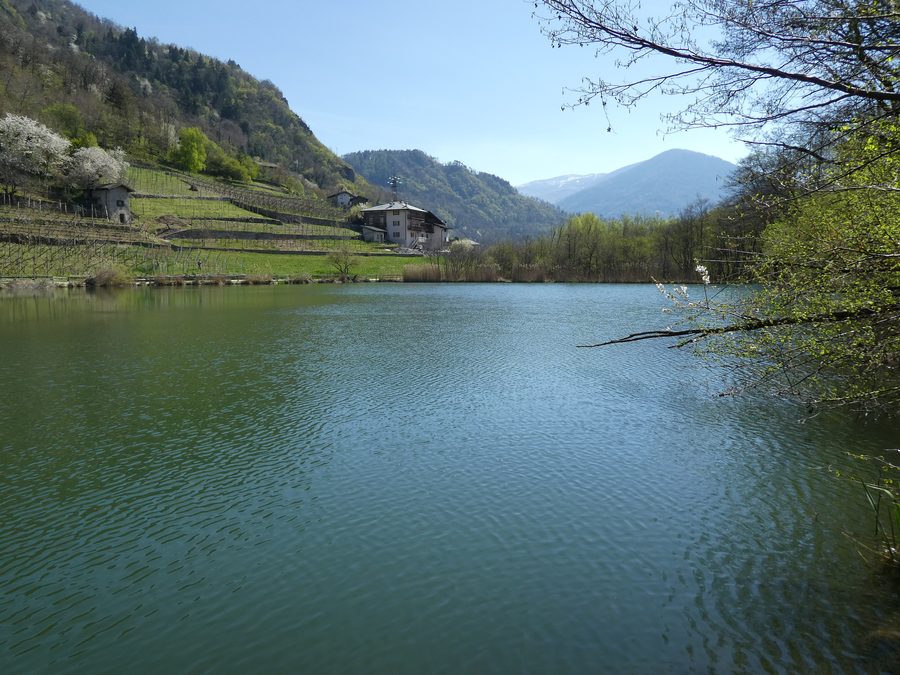 Lago di Madrano bei Pergine Valsugana im Trentino