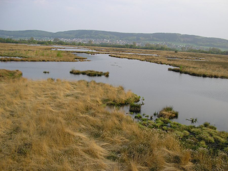Lago del Großes Torfmoor a Lübbecke, Renania Settentrionale-Vestfalia