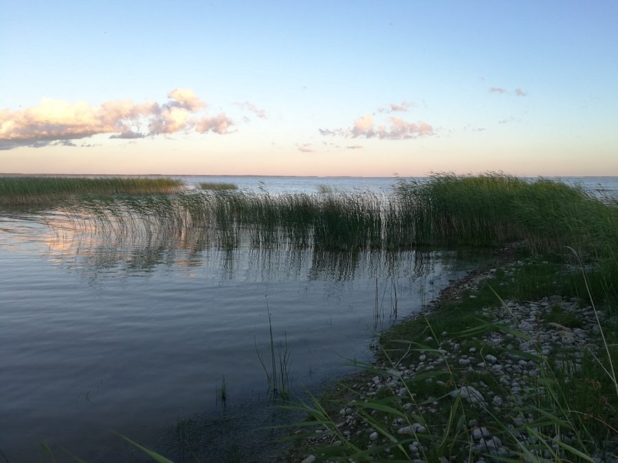 Vista da Vaibla sul Võrtsjärv aperto