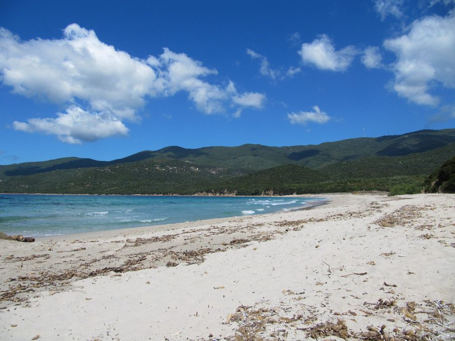 Baia di Cupabia e costa sabbiosa mediterranea nella Corse-du-Sud