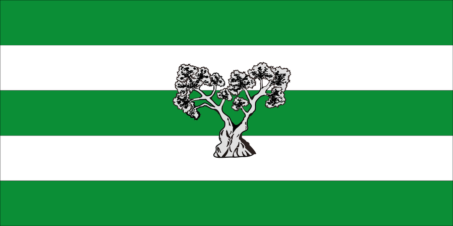 File:Bandera Líjar 2017.png