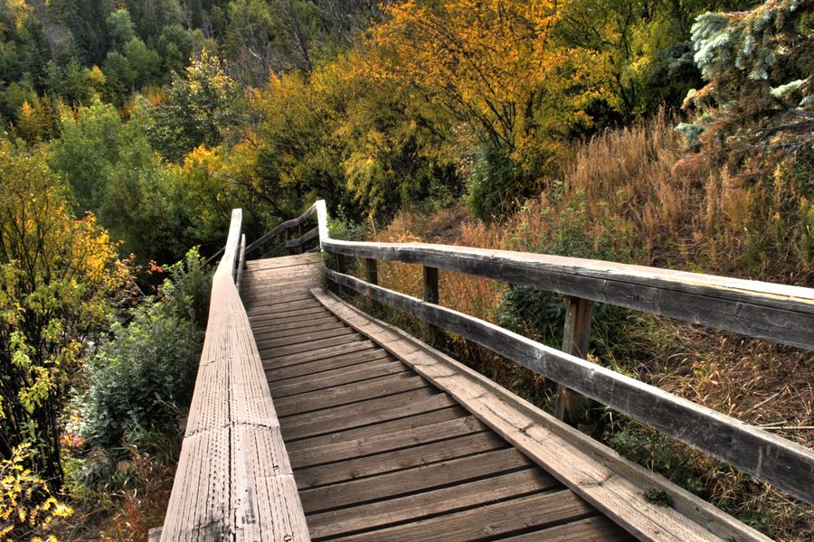 Wooden staircase descending into the North Saskatchewan River valley in Edmonton.