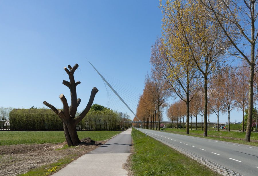 Ponte Calatrava de Harp sulla Hoofdvaart a Nieuw-Vennep