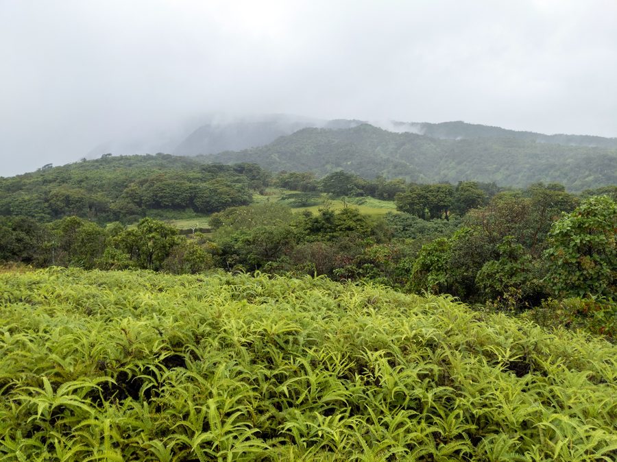 A scenic viewpoint on Tahiti overlooking the island landscape.