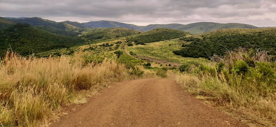 Landschaft im Hluhluwe-iMfolozi-Wildreservat bei Hluhluwe in KwaZulu-Natal