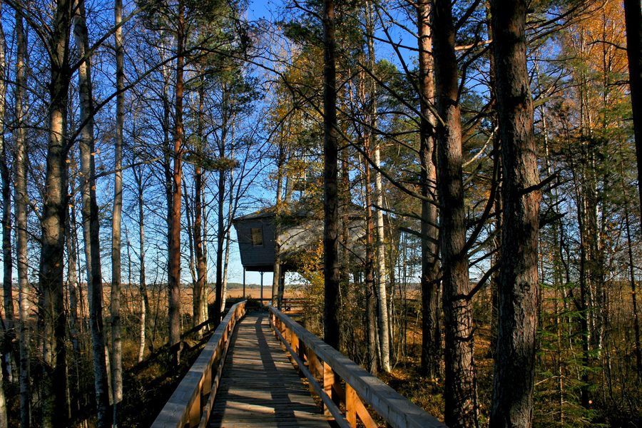 Grande torre di osservazione degli uccelli nel Parco nazionale Store Mosse
