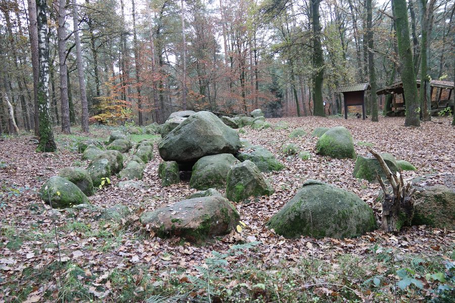 Großsteingrab in Thuine