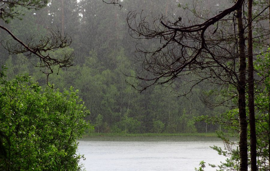 Vaikne-See bei Uderna im Regen