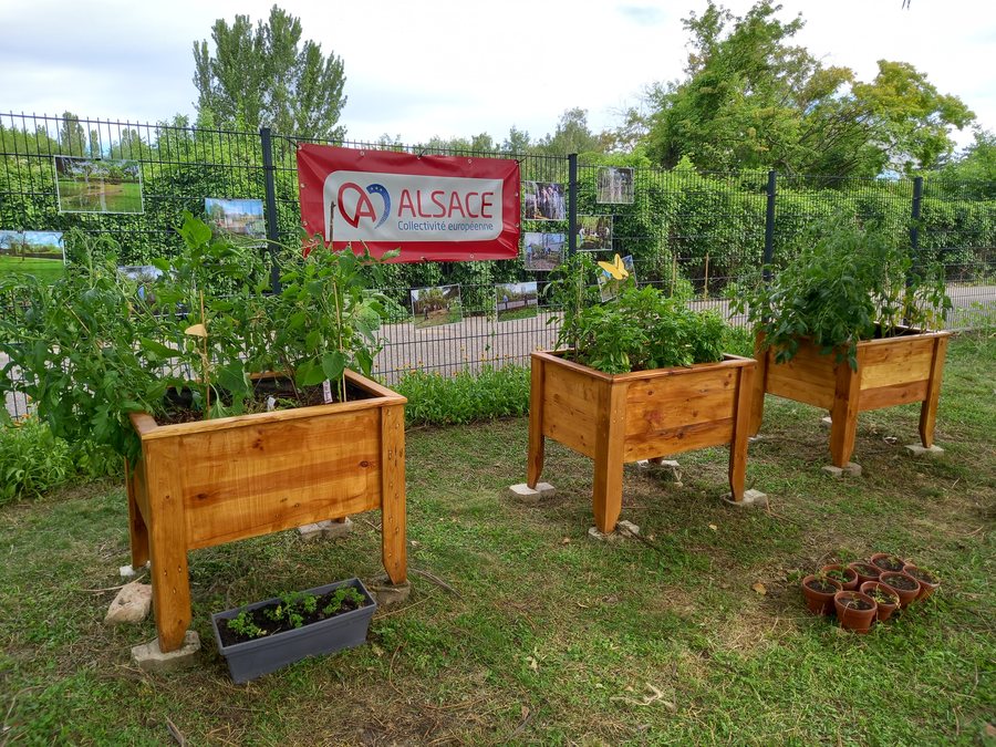 File:Jardin partagé (Ostwald).jpg