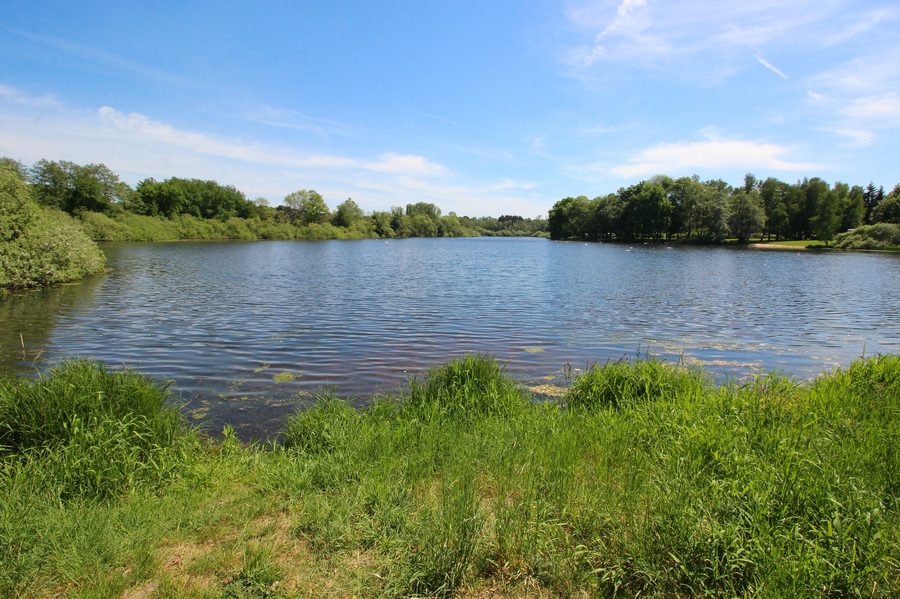 Hausweiher der Westerwälder Seenplatte bei Steinen im Westerwald