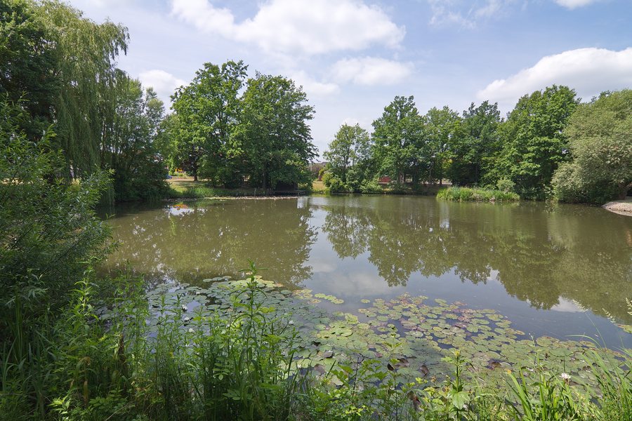 File:Dorfteich in Kreuzriehe (Suthfeld) IMG 7676.jpg