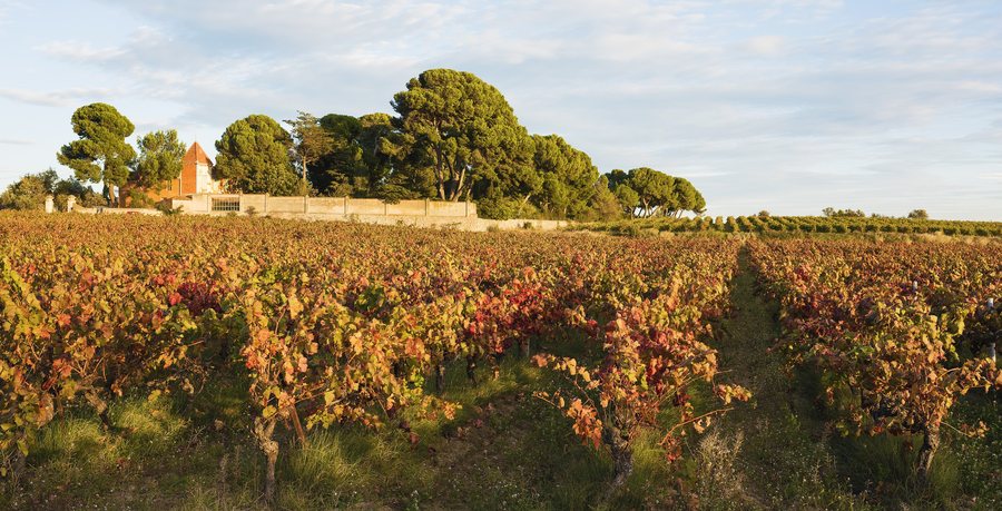 File:Saint-Félix, Loupian 02.jpg