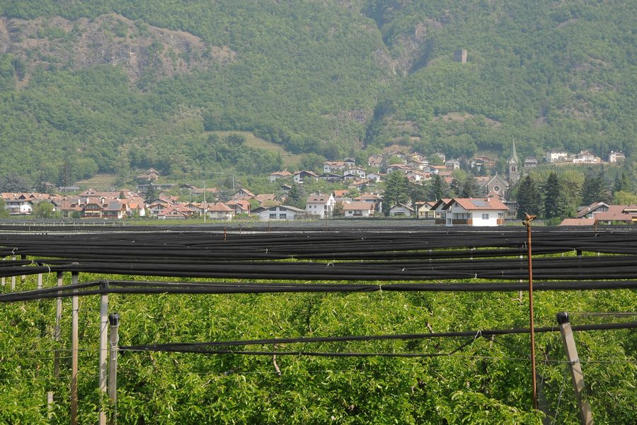 Gargazzone visto dalla pista ciclabile lungo l’Adige