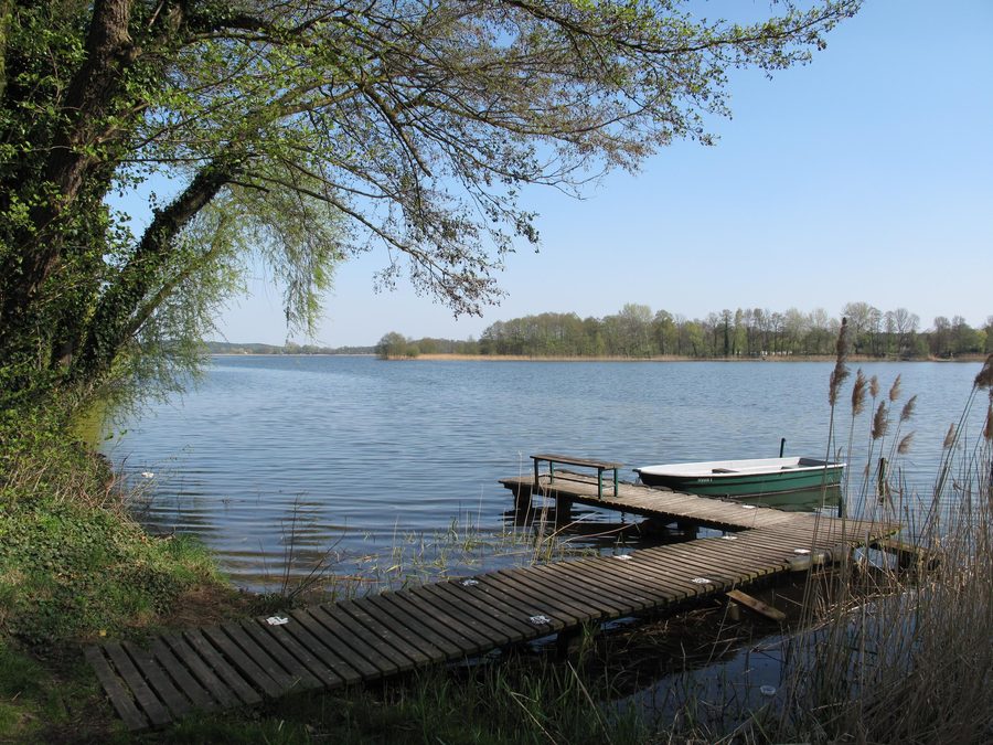 Blick auf den Großen Seddiner See in Brandenburg