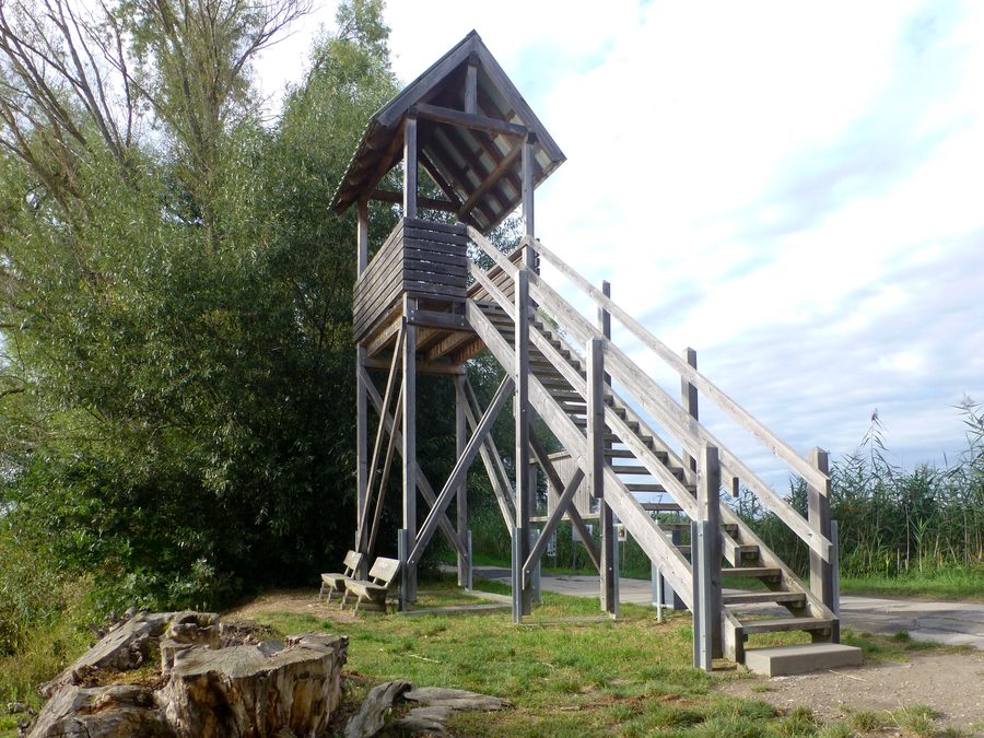 Beobachtungsturm am Ostufer des Altrheinsees nördlich von Eich in Rheinhessen