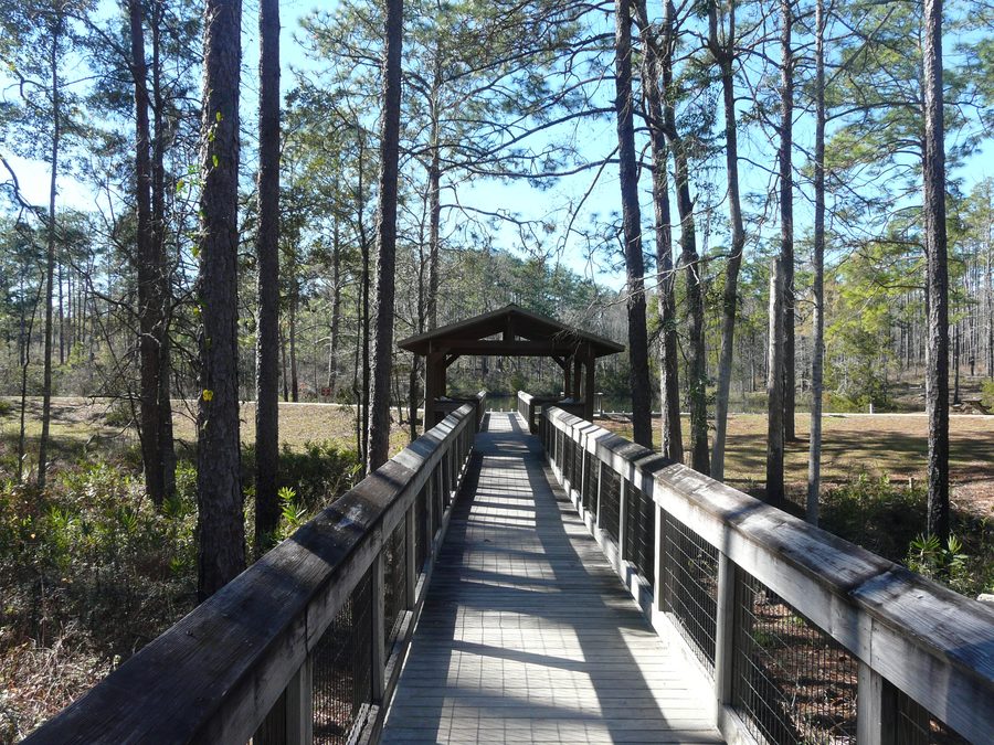 Ponte passerella sopra una piccola gola al Falling Waters State Park