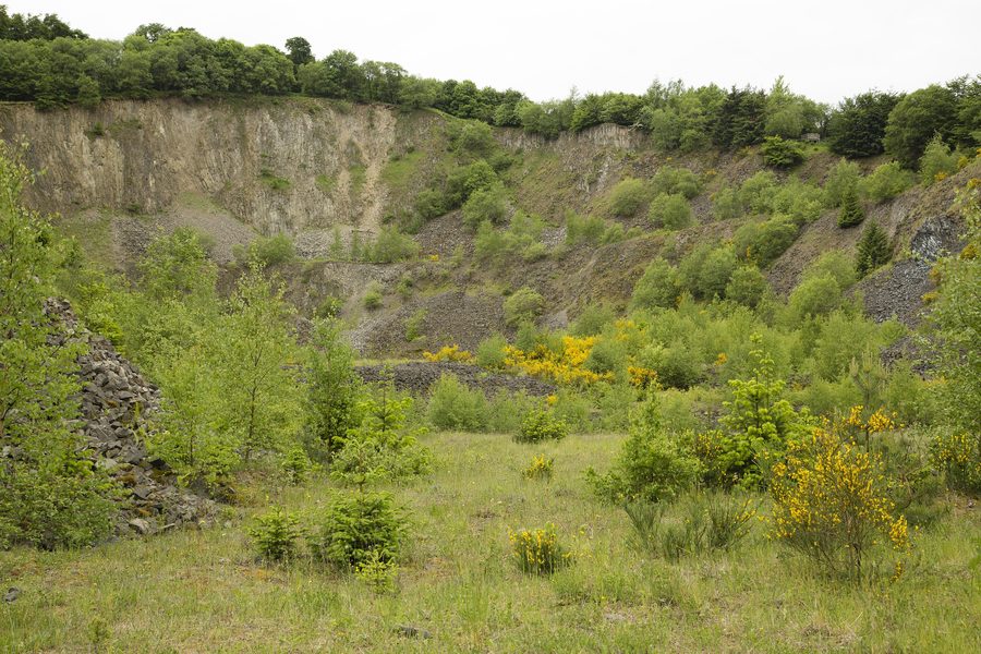 Frühlingslandschaft im Naturschutzgebiet „Hochbermel“ in Rheinland-Pfalz.