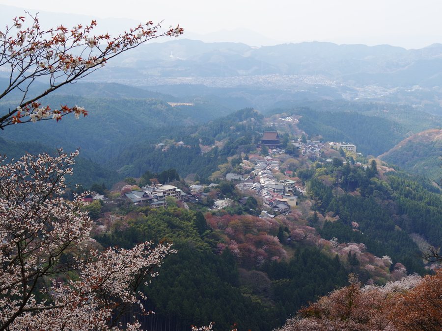 Vista su Yoshino nel paesaggio montano meridionale